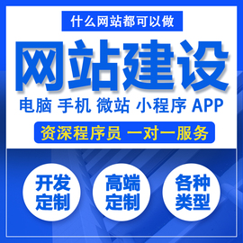 承接网站APP小程序设计开发微信推广分销商城服务器网站设计