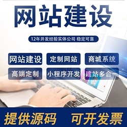 软件开发、系统定制服务